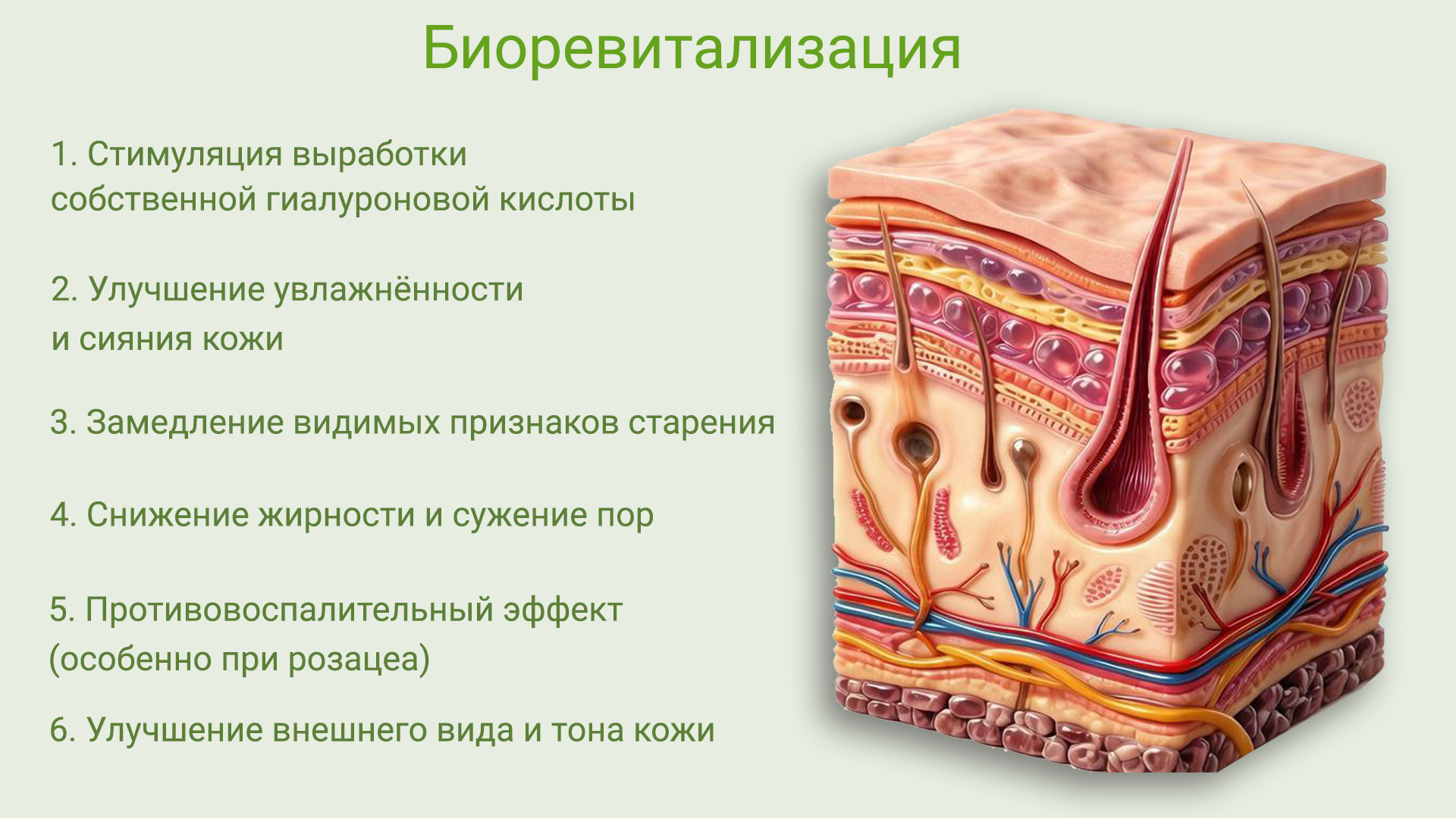 На картинке 3Д-модель участка кожи человека в разрезе - анатомическая модель.